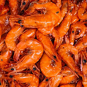 Shrimp Are Keto Diet Friendly