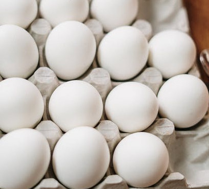 What is a Low Carbohydrate Diet Eggs