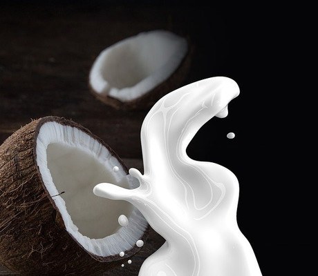 Coconut Milk